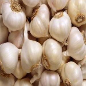 Whole White Garlic, Fresh Garlic In Bulk - fruits et légumes products- new crop fresh natural pure white garlic----varieties- snow white garlic, super white garlic, vietnam white garlic----size- 3-4.5cm,  4.5cm,  5cm,  5.5cm,  6cm,  6.5cm and up----edibleness- reducing bacteria,  keeping the heart in good condition and immunity----supplying period- all the year round