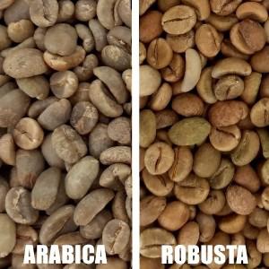 Café Robusta en déstockage  - café cacao thé actuellement,  nous disposons de 2000 tonnes de café robusta bien sec en côte d'ivoire. --prix fob - 2600 fcfa/ kilo --prix cif- 2800 fcfa/ kilo.--besoin uniquement d'acheteurs sérieux. --écrivez nous directement par mail ou whatsapp. merci 