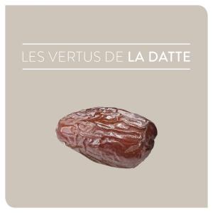 Export of dates and fruits - fruits et légumes je cherche un acheteur de dattes au canada pour des dattes algériennes différentes catégories. dattes bio avec certificat et des dattes sèches avec différentes qualités (canada)--