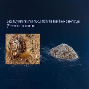 buy snail mucus from the Eremina Desertorum - crustacean shell will buy natural lyophilized snail mucus from the eremina desertorum snail (helix desertorum) (10 kg),  obtained by secreting mucus without using water,  acids and other additives. requirement product purity 100%.--the product is necessary for the production of the dietary supplement  gastromucin mucu