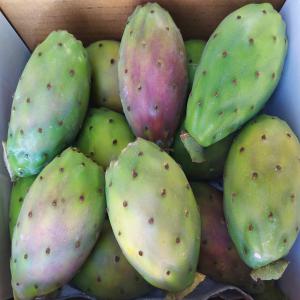 Pickly pears - fruits and vegetables we are selling high quality late season prickly pears (rosa variety,  bianca variety). please contact us to discuss your needs together.