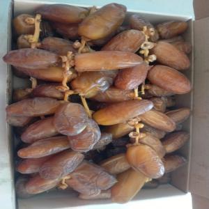 Dattes, Dates Deglet Nour  - fruits et légumes bonjour--nous sommes producteur des dattes deglet nour tunisienne. --la récolte est déjà commencée.--nous avons toutes les quantités demandées.--n'hésitez pas a nous contacter 