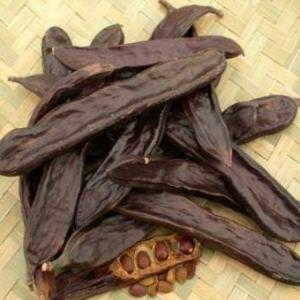 Carob ou caroubie - fruits et légumes je met en vente 100 tonnes de caroubier bio récolte 2024 région montagne d atlas ,  le meilleur dans la zone mediteranienne ,  aspect et gout parfait et composants naturellement riches bio  à un prix raisonnable pour plus d'informations n'hésitez pas à me contacter (