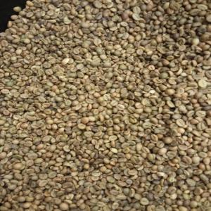 Vente de café robusta grade 2 - café cacao thé bonjour monsieur,  comment allez-vous bien,  j'espère ? nous avons une offre robuste de café vert --origine - guinée --quantité - 10 conteneurs-- qualité - café vert robusta g 2 petit grain et gros grain-- prix ​​fob - 5200 dollars / tonne --paieme