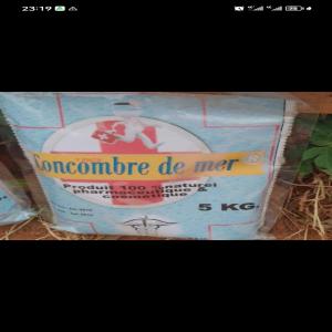 Recherche de concombre de mer - autres je veux les concombres de mer séchée et écrasés emballés par 5kg--bio cosmétiques de bon qualités du cameroun si oui contacter moi je suis pret à l'achat 