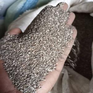 Pure Certified Non-GMO Chia Seeds For Sale - seed plant seed --------purity- 99.9 %min----moisture-10.0% max----oil content- 30% min----fffa (free fatty acids)- 2% max.----greyish seeds- 1% max.----brown seeds- 1% max.----color-white, dark-grey/black----taste-neutral----odor-characteristic aroma----gluten- non-detectable----foreign material -0.1%* max----aflat