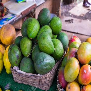 Fruits Tropicaux – Mangues et Avocat en Gros  - fruits et légumes vous etes à la recherche d’un fournisseur fiable de mangues et avocats tropicaux de haute qualité pour votre chaîne de production ? nous proposons des fruits en gros,  adaptés aux exigences des industries agroalimentaires,  cosmétiques,  et pharmaceutiques.----nos prod