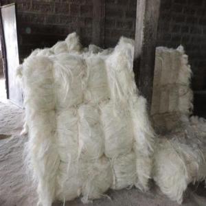 100% Grade A Natural Sisal Fiber For Sale - other we are the leading manufacturer & supplier of natural sisal fiber . our--company is involved in offering a quality range of natural sisal fiber.----fibre type- greige / dyed----fibre length- = 90 cm / 110 - 130 cm----fibre size- diameter- 0.35 mm----color- white / natural----grades- a----fiber stren