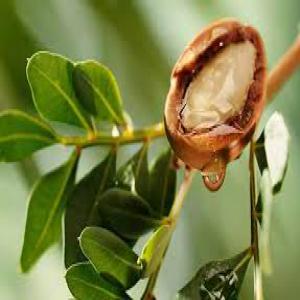 CHERCHE FOURNISSEUR PRODUITS HUILE D'ARGAN - huiles nous recherchons un fournisseur pour commandes récurrentes de produits cosmétiques visage,  corps et cheveux à l'huile d'argan bio,  ecocert,  sans parabène ni conservateurs (acides ou perturbateurs endocriniens),  avec possibilité d'insérer les étiquette