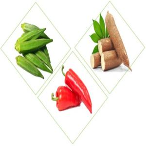 Gombo, Piment et Manioc - fruits et légumes nous sommes une organistion qui accompagne des producteurs de gombo,  piment et manioc au togo.--actuellement nous sommes en production et nous cherchons des clients pour nos produits. nous voulons un partenariat à long terme.