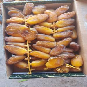  dattes Deglet Nour - Huile d'Olive Algerie  - fruits secs et graines grillées je suis vendeur - importateur - exportateur de dattes de type deglet nour d algerie.  je travaille avec des dattes de qualité premium,  mais également d'huile d'olive premium (et tout autre type de produit en provenance d'algérie) (linkedin)--n'hésitez pas à me cont