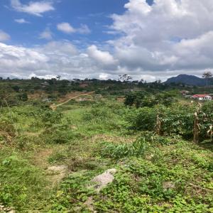 À VENDRE : TERRAINS EXCEPTIONNELS A MBANKOMO - mine terrain concession à vendre - terrains exceptionnels a mbankomo-yaounde----saisissez cette opportunité !!!-----	prix - 15 000 fcfa le m²---	superficies disponibles ---•	3 000 m²--•	1 024 m²--•	1 500 m²---	morcèlement possible - à partir de 500 m²----contactez-nous dès maintenant pour