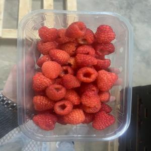 Framboise 125g a vendre - fruits et légumes bonjour ,  nous sommes une entreprise basée au maroc,  et nous exportons des fruits et légumes frais et congelé en europe.--nous avons une grande quantités d'avocats et d'avocats huss a vendre.--nous avons également des autre fruits et légumes a vendre.--si vo