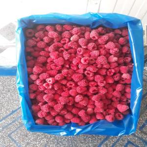 Framboise Congelé vendre - fruits et légumes bonjour ,  nous sommes une entreprise basée au maroc,  et nous exportons des fruits et légumes frais et congelé en europe.--nous avons framboise congelé box 10-20kg.--nous avons également des autre fruits et légumes a vendre.--si vous etes intéresses me