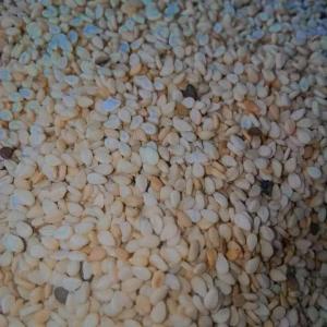 Sesam available  - roasted seeds and nuts hello dears buyers, --we are suppliers of dried ginger,  dry turmeric sesam,  pepper, coconut, red palm oil. etc...--better quality,  sufficient quantity and better price.--west africa 