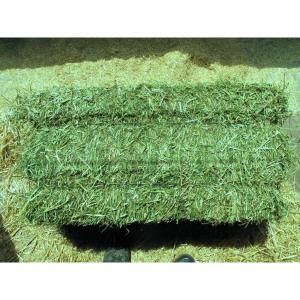 Grade A Timothy Hay Available - feed we are distributors and wholesale supplier of livestocks as well as animal feeds such as alfalfa, we sell at good prices and our products comes with all necessary papers.feel free to contact for more details and recent photos.