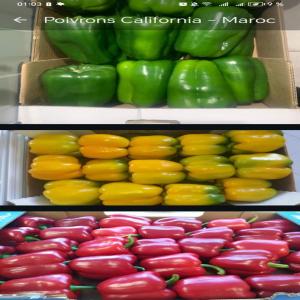 poivrons de Californie - fruits et légumes nous vous proposons des poivrons de californie,  cultivés dans des conditions idéales pour offrir une saveur douce et croquante.