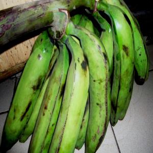 Banane plantain  - fruits et légumes moi c'est atangana minlo vincent de paul importateur de banane plantain dans la sous région afrique je suis camerounais (gabon,  guinée équatoriale)