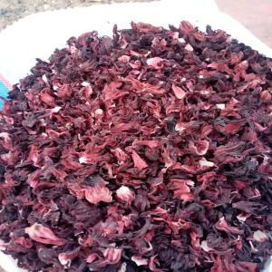 Hibiscus séché,en poudre, bissape rouge sé bl - fruits et légumes bonjour,  nous avons commencé les nouvelles récoltes de nos hibiscus. c'est le moment de commander et bénéficiez d'une large réduction. ( 3€ livrer en france)nous vous rappelons que nous produisons nous meme nos produits et nous contrôlons strictement la quali