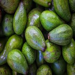 great A avocado pear - fruits and vegetables we have sweet great a avocado pear available and ready for shipment, we sell at affordable prices and our pears come with all documents