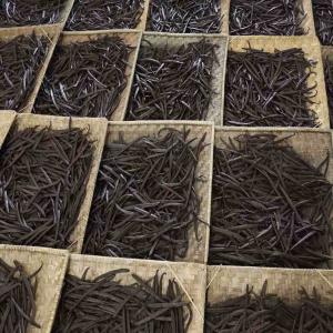 Trader/Broker/Partner to sell VANILLA - aromatic spices we are looking for a trader/broker/partner to sell vanilla.we are a french-ugandan company specializing in the import/export of premium african products.our flagship product- ugandan planifolia vanillaan exceptional vanilla that rivalsand even surpassesthe reputation of vanilla from the comoros.type