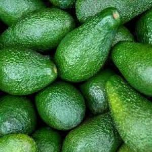 avocado pear  - fruits and vegetables we have sweet great an avocado pear available and ready for shipment, we sell at affordable prices and our pears come with all documents