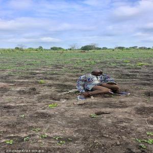 vente de terre agricole  - Investissement capitaux nous disposons au bénin précisément dans la commune de djidja des terres agricoles très fertile de plus de 1000 hectares. ces terres sont mise en vente,  possibilité de louer ou de collaborer pour la production de matière première; 