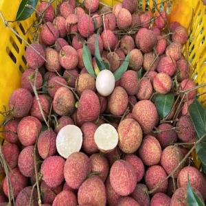 Vente du Letchi  - fruits et légumes produits - letchi conditionnement - 10 tonnes ( les prix sont hebdomadaire selon le prix du marché international) quantité - disponible (tonnes) provenance - madagascarcertificats ggn (grasp à la demande) et analyse livraison - partout dans le monde pour les variété