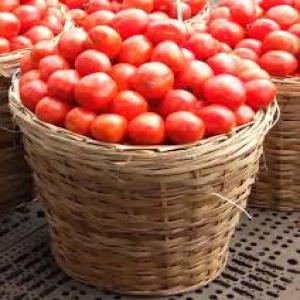 fresh tomatoes - fruits and vegetables we have fresh tomatoes available and ready for shipment,  we sell at affordable prices and our tomatoes come with documents.