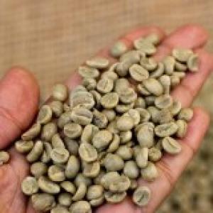 sale of robusta grade 2 green coffee - coffee cocoa tea hello sir,  we have robusta grade 2 green coffee from guinea available at a price of 4000 dollars/ton. payment 100% irrevocable letter of credit payable on demand. if you are interested please contact us thank you.