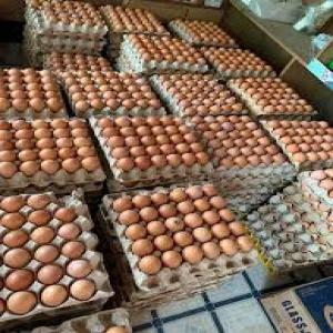  fresh brown chicken eggs - meat and eggs we have fresh brown chicken eggs available and ready for shipment, we sell at affordable prices and our brown chicken eggse comes with all documents