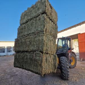 ALFALFA Bales - feed alfalfa - medicago sativa l.  alfalfa contains up to 20% protein,  making it an excellent source of this essential nutrient for animals. it is also packed with vitamins and minerals,  including vitamins a,  b,  c,  e,  and k,  as well as calcium,  iron,  and phosphorus. in addition,  it is also high in fiber, 