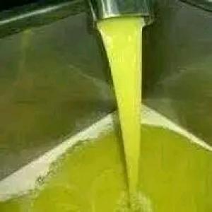 Huile d'olive extra - huiles je suis un producteur de huile d'olive ,  j'ai une bonne quantité(500 litres) a kairouan. notre type de huile est  wesleti   lguime . si vous etes besoin,  vous pouvez nous contacter et mercie.