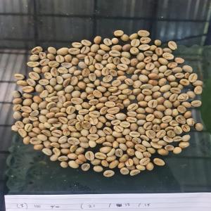 Café vert Robusta non torréfié  - café cacao thé bonjour   si vous etes torréfacteur et ayant l'autorisation de l'importation, nous pouvons vous fournir le café vert robusta depuis indonésie.  conditions - vente par conteneur 18 tonnes 