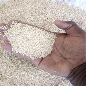 Sesame blanc - céréales nous avons un stock de sesame au burkina faso,   nous cherchons un acheteur potentiel pour un contrat de long terme