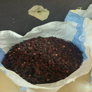 vente d' hibiscus  - fruits secs et graines grillées nous commercialisons  du bissap,  disponibles au sénégal.--possibilité d' expédier en europe. --nous produisons et commercialisons d'autres produits tels que- le moringa feuille et poudre,  poudre de baobab,  poudre de bissap kinkeliba,  etc. 