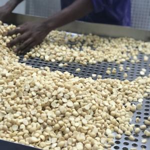 Noix de macadamia du Kenya - fruits secs et graines grillées  --les noix de macadamia de tridge proviennent de sources durables de plus de 5 000 petits exploitants agricoles. elles sont fraîchement récoltées et transformées conformément aux directives des systèmes de sécurité alimentaire fssc 22000 pour g