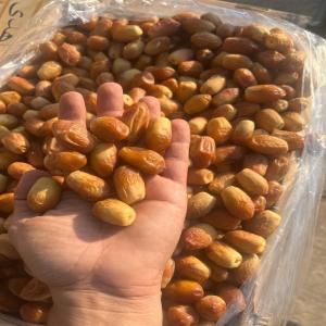 Dates and Derivatives  - roasted seeds and nuts i'm a representative of arad branding,  a global export company based in iran. i'm looking for buyers of high-quality iranian dates and date-derivatives among other products. our prices are competitive.