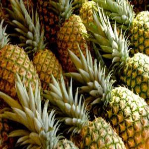 Fournisseur ANANAS, MANDARINE et CURCUMA - fruits et légumes bonjour,  représentants directs d'une coopératives avec mandats depuis la cote d'ivoire,  nous disposons d'une importante quantité d'ananas et de mandarine avec un prix très abordable. nous recherchons des partenaires acheteurs sérieux partout dans le monde pour une 