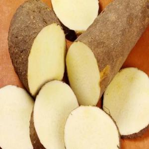 Manioc en Grande Quantité à Prix Abordables  - fruits et légumes bonjour, ----en tant que représentants directs d'une coopérative avec mandats en côte d'ivoire,  nous disposons d'une grande quantité de manioc de haute qualité à des prix très compétitifs. nous sommes à la recherche de partenaires acheteur