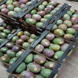 Fruits et Légumes Exotiques et Tropicaux - fruits et légumes importateur et sourceur de fruits exotiques,  tropicaux,  ethniques   fournisseur pour grossistes,  centrales d achats,  restauration collective.----nous sommes kodra-export,  spécialistes de l'importation et du sourcing de fruits et légumes exotiques et tropicaux en provenance d'afrique,  d