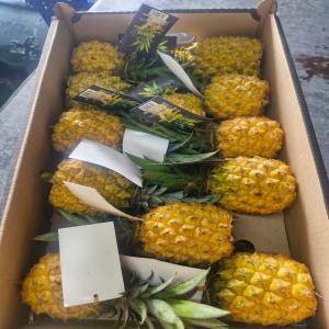 Victoria Pineapples - fruits and vegetables    sale of victoria pineapples   premium quality,  bulk availability   ----   product- victoria pineapple--   origin- mauritius--   available quantity- shipping in pallets of 96 cartons--   packaging- cartons of 3.5-4-4.5-5 kg--   available sizes- 7,  8,  10--   shipping mode- air freight--   incoterms