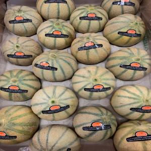  Charentais Melons - fruits and vegetables    sale of charentais melons   premium quality,  bulk availability   ----   product- charentais melon--   origin-senegal--   available quantity- shipping in pallets (70-140 cartons)--   packaging- cartons of 5-12 kg--   available sizes-5-6-9-11-12q-12l-15q-15l--   shipping mode- sea or air freight wi