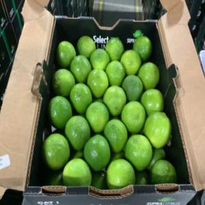 Tahiti Limes  - fruits and vegetables    sale of tahiti limes from brazil   premium quality,  bulk availability     ----   product- tahiti limes--   origin- brazil--   available quantity- shipping in pallets--   packaging-----cartons of 4.5 kg--pallet- 252 cartons--   available calibers- 42,  48,  54,  60--   shipping mode- sea or air freig