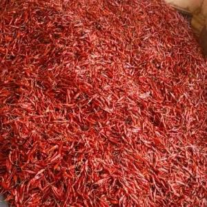 Piments secs - épices aromates nous disposons en grande quantité et qualité de piments secs; variétés pm 16  bec d'oiseaux  et soudan. prix- 5000 francs cfa le kilo.