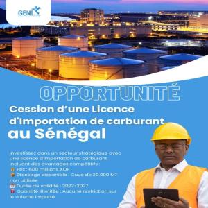 CESSION DE LICENCE D'IMPORTATION DE CARBURANT - pétrole gaz    opportunité unique - licence d importation de carburant au sénégal   --investissez dans un secteur stratégique avec une licence d importation de carburant incluant des avantages compétitifs ---   prix - 600 millions xof--   stockage disponible - cuve de 20.000 m