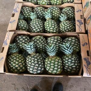 Premium Sweet MD2 Pineapples - fruits and vegetables    premium sweet md2 pineapples for sale   ivory coast        export quality   ----product details---   variety- sweet md2 pineapple--   origin- ivory coast--  average weight- 1.5 to 2.5 kg--   packaging- 12 kg cartons --   transport- sea freight--   availability- year-round supply--   certification