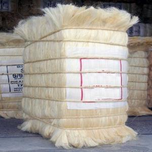 Suppliers and Exporters of SISAL FIBER  - matiere vegetale  grade ug --grade 3l--grade tow1--grade ssug--from kenya and tanzania ready for export--grade- grade a--fiber length- 110-130cm--length- 110cm-130cm--moisture- 10%-13%--impurity- 0-2% max--color- natural white,  brown and between white and brown.-- 