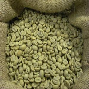 Arabica and Robusta Coffee available   - café cacao thé  kenya washed arabica and robusta coffee beans all grades and sizes for sale --screen-17 up,  grade aa--package- 50/60kg/jute bag--moisture- max 12%--defection/broken- max 8%--clean cupping,  no primary defection.--custom documents- origin of cert (form c or e),  quality and weight cert,  phyto cert.--c