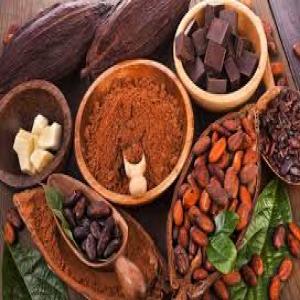 VENTE CACAO BIO DU GABON EN FEVES ET POUDRE - café cacao thé bonjour, ----nous vendons en grande quantité du cacao bio du gabon en feves et en poudre.----si vous etes intéresser,  merci de me contacter pour convenir d'un entretien.----faudra préciser si vous souhaitez des prix fob ou cif.----nous pouvons convenir d'un contrat sur 12 mois ou